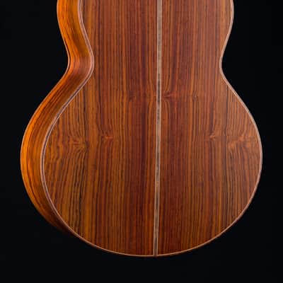 Lowden S-50C Cocobolo and Alpine Spruce with Bevel and Maple Neck NEW image 16