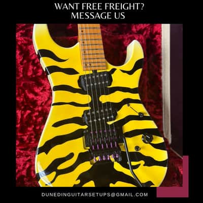 Hamer (USA) Centaura, Custom Bengal Tiger - LAST MONTH image 2