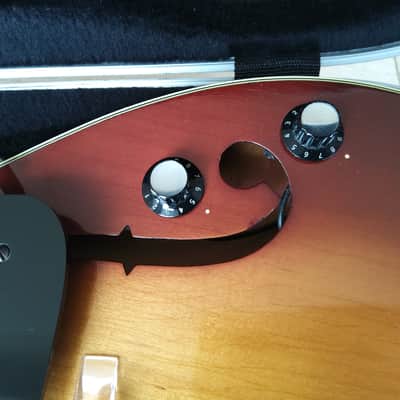 Martin F-50 1964 - Sunburst image 10