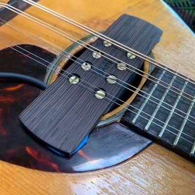 Krivo Mandobucker pickup for mandolin, octave mandolin, tenor guitar, bouzouki: Wenge ebony wood image 2