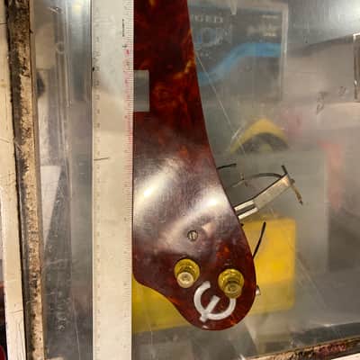 Epiphone Pickguard 1960s image 1