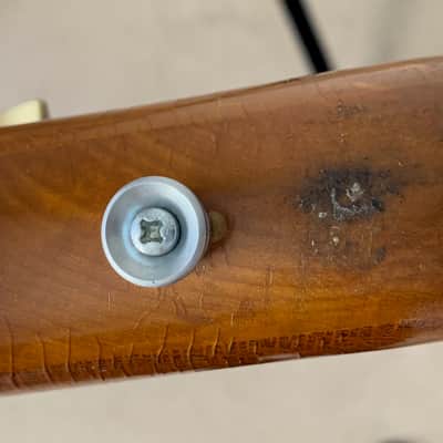 Alembic Omega 'Bodega' left handed bass (a true one off instrument) image 21