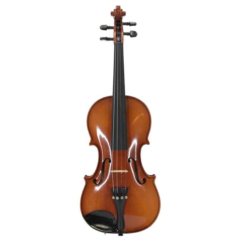 Violin 4/4 Paesold Mod Nr 5800-4 image 1