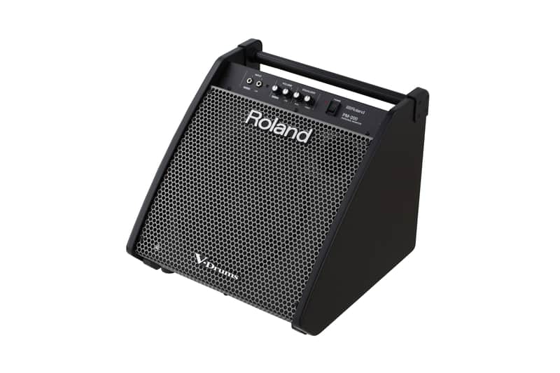 Roland - PM-200 - Personal Drum Monitor-180 watts, 12" woofer, horn tweeter, XLR outputs image 1