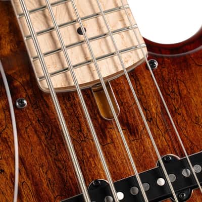 Cort GB-Fusion 5 Antique Brown Burst w/Gigbag image 7