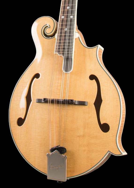 Bourgeois M5-F