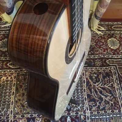 Hill New World Classical Guitar w/Elevated Fingerboard-Brand New! image 3
