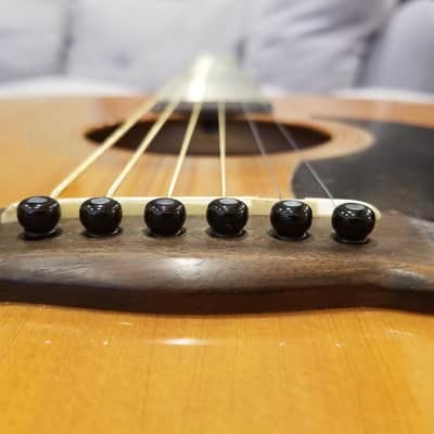 Immagine Hohner HG-905 - 14