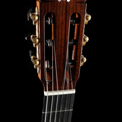 Cordoba C10 - Natural - Free Shipping image 8