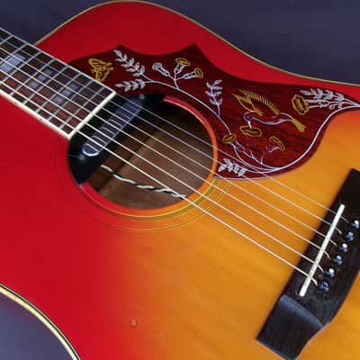 Early 1970’s Canda 212 Hummingbird Model MIJ by Fujigen Gakki image 19