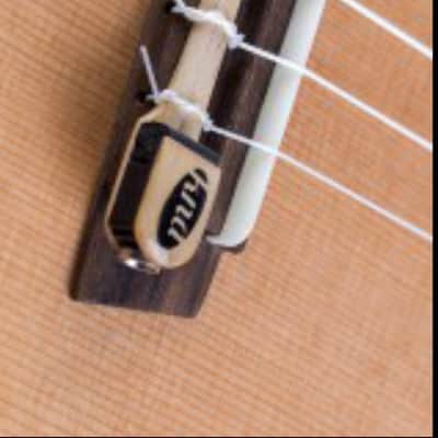 Kremona Coco Concert Ukulele Cedar / Rosewood w/ Pickup. New with Full Warranty! image 4
