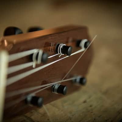Johannes T' Kindt / Flamenco guitar, 2025 Spruce / Ind. Rosewood Flamenco guitar, 2025 French Polish image 14