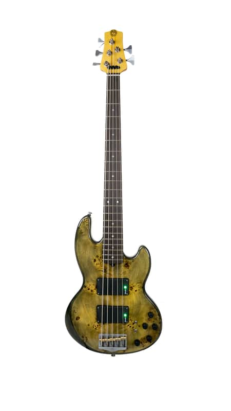 Form Factor Audio Wombat 5-String Bass image 1