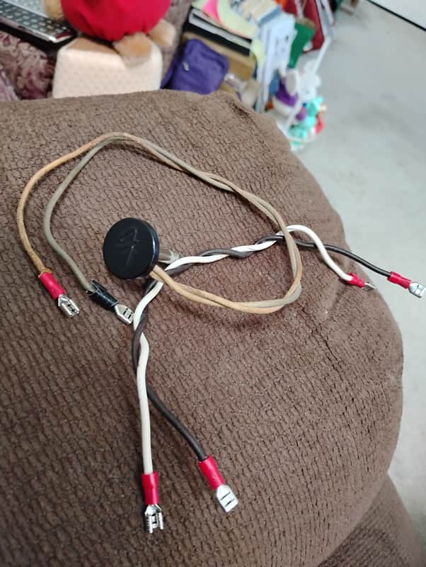 1970's Fender Speaker Wiring. Good for series or parallel hookup and 1/4" Male Jack image 1