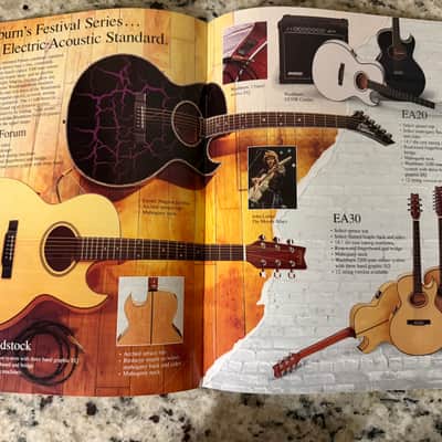 Washburn Catalog Flyer 80s-90s SBF24 SBT21 SBS20 ea20 ea30 Mandolin Banjo Crackle image 5