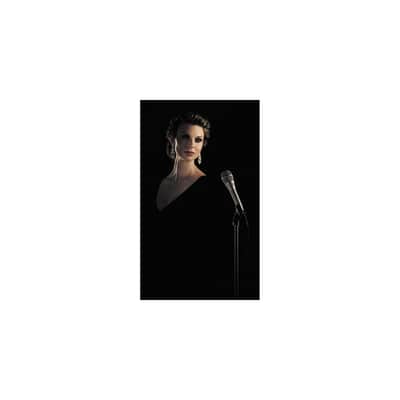Shure KSM9 Dual-Diaphragm Performance Condenser Microphone Regular Charcoal Gray image 2
