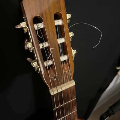Japanese Classical Guitar Eastman C008 1970 image 6