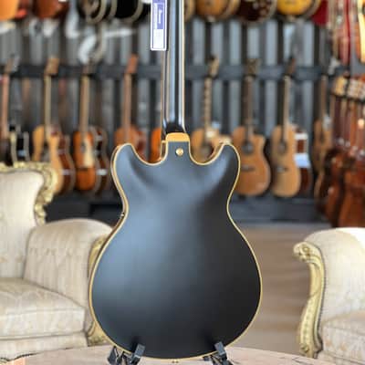 IBANEZ John Scofield JSM20-BKL image 8