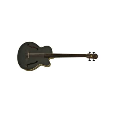 ARIA E. ACOUSTIC BASS 814MM GTR SCALE FRETLESS W/BAG Stained Black FEBF2M-FL-STBK image 5