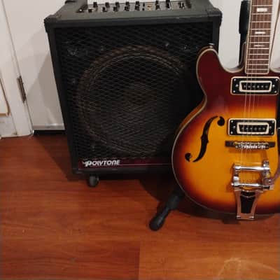Polytone TAURUS ELITE 125w Amp image 1