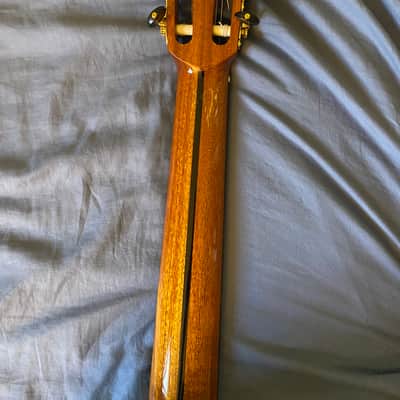 2022 Yulong Guo Hauser model / Spruce Top + HumiCase image 11