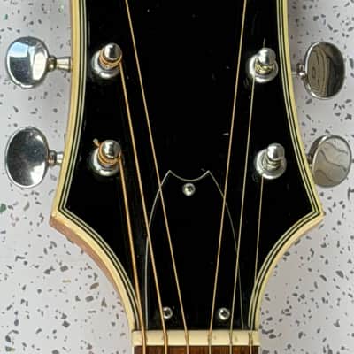 Epiphone FT-570BL Sheraton 1973 - 1979 - Natural image 4