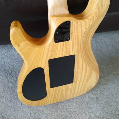 Kiesel JB24 Jason Becker Tribute Numbers Guitar Natural image 10