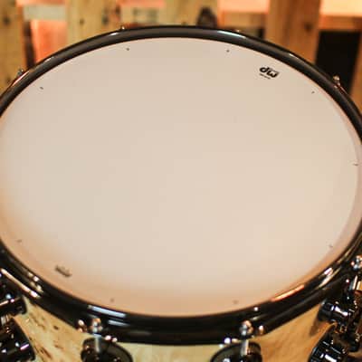 DW 8x14 Collector's Maple VLT Natural Lacquer over Mapa Burl Snare Drum - SO#1409995 image 4