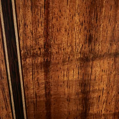 Avalon ARDRI L1 350C Guitar #2454 image 11