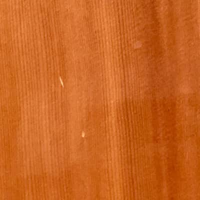 Samick SW 210 CE Acoustic/Electric; Made in Korea, 1993. Looks good and plays well! image 15