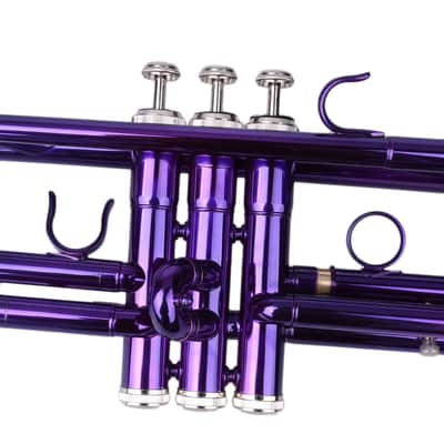 Cxxss Brass B Flat Trumpet Violet image 5