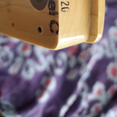Fender USA 22 fret maple strat neck 2016-17 nut and neckplate image 5