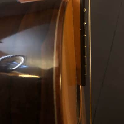 Kolya Panhuyzen Classical Guitar 2012 Cedar/Ziricote image 19
