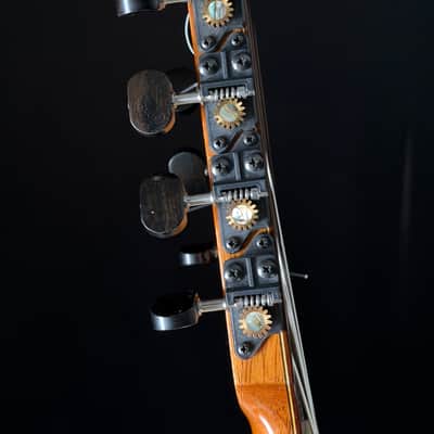 Kenny Hill 7 String Classical Cutaway Crossover Seven String image 14