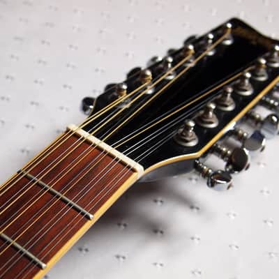 Washburn EA20MB-12 12弦ギター Washburn EA12B-A Festival Acoustic-Electric Guitar | Guitar Center