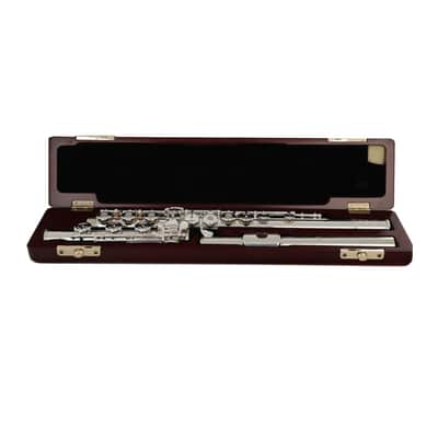 Di Zhao DZ801BOF (700 Series) Solid Silver Flute - Offset G, B Foot image 4
