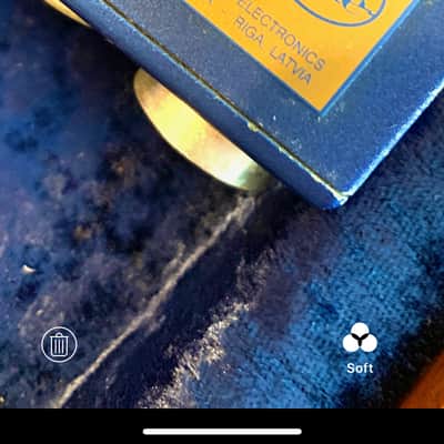 Blue Blueberry Blue image 4