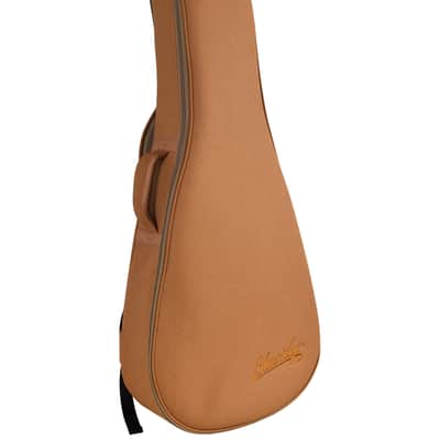 Blueridge BR-40T Tenor Guitar Contemporary Series Solid Spruce Top Mahogany Back/Sides Bundle image 7