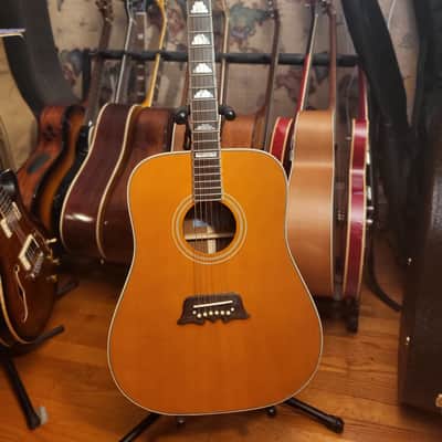 Epiphone   Excellente FT 120 Acoustic Electric Guitar image 2