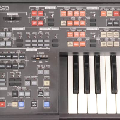 TECHNICS SX-C300 Electronic Organ Owned by Queens Of The Stone Age #27812 image 11