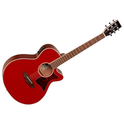 Winterleaf TW4 R Tanglewood image 1