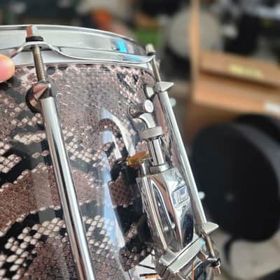 Pearl VP1480 14x8" Vinnie Paul Signature Maple Snare Drum 2010s - Snakeskin Graphic image 5