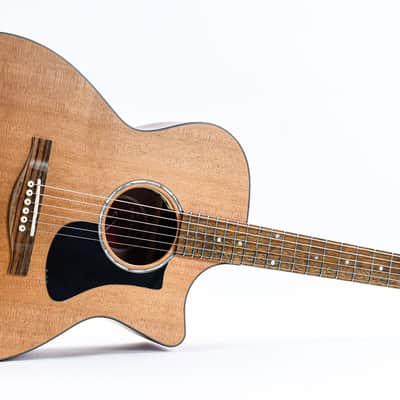 Eastman PCH1 GACE image 14