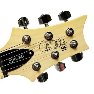 PRS SE SE Swamp Ash Special 22 Electric Guitar in Vintage Sunburst image 8