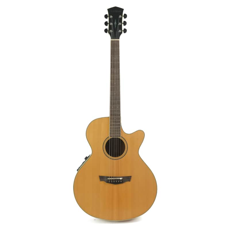 Parkwood Acoustic Owned by Greg Howe image 1