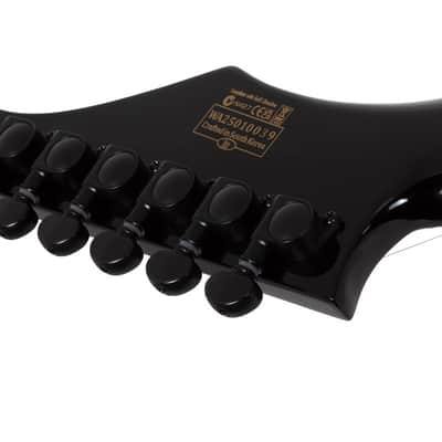 Wylde Audio Tortoise Shell Corridors Wrathmaker Guitar image 5