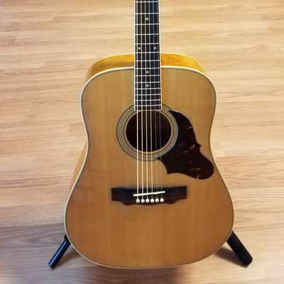 BC Rich Rico RW-9C dreadnought acoustic 1980ish image 1