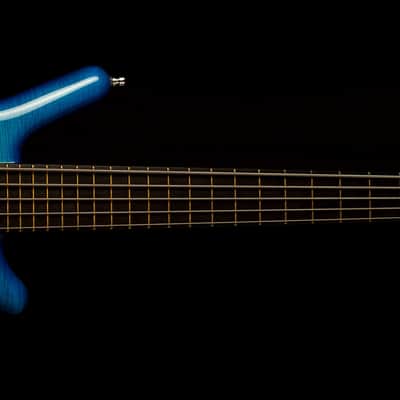 Warwick Thumb Bass Custom Shop Limited 2017 | Reverb