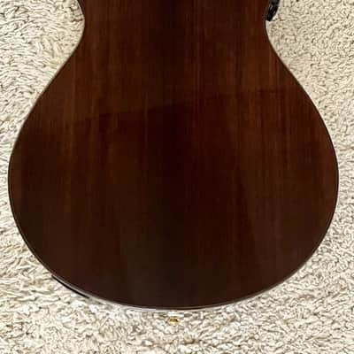 Immagine Breedlove Performer Pro Concertina E Tobacco Burst, Indian Rosewood - 2