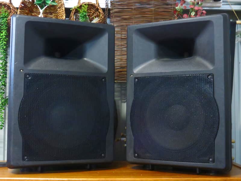 2x 12” Powered PA Speaker with Bi-Amplifier 280w RMS (600W Max) image 1